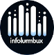 Infolumbux, servicios informaticos Logo